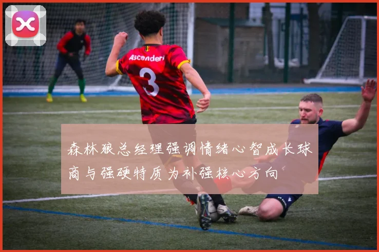 森林狼总经理强调情绪心智成长球商与强硬特质为补强核心方向